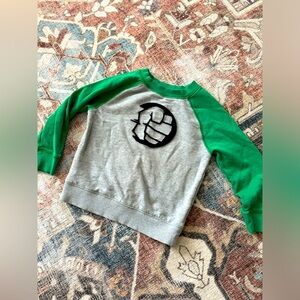 LIKE NEW Hanna Andersson Hulk Sweatshirt